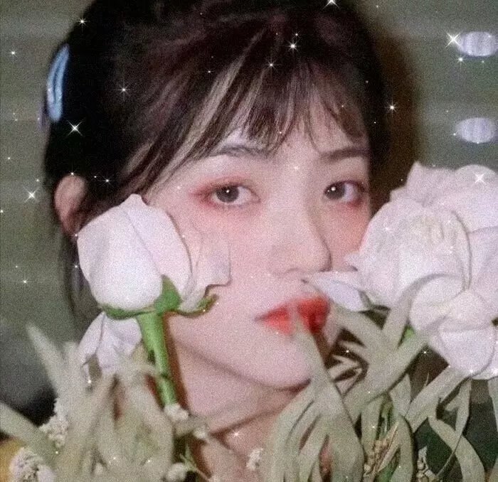 大卫王